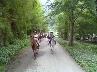  Niños de la escuela caminando